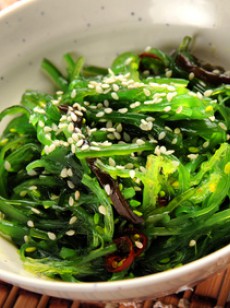 tout-savoir-sur-les-algues